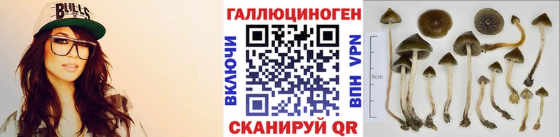 Галлюциногенные грибы Psilocybe  даркнет состав  Саки 